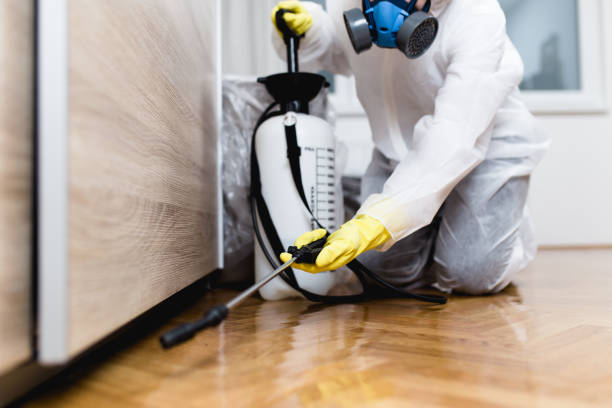 Johnson Lane, NV Pest Control Company