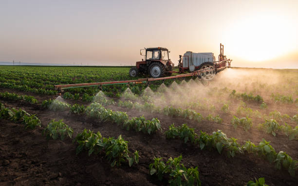 Best Commercial Pest Control Services  in Johnson Lane, NV