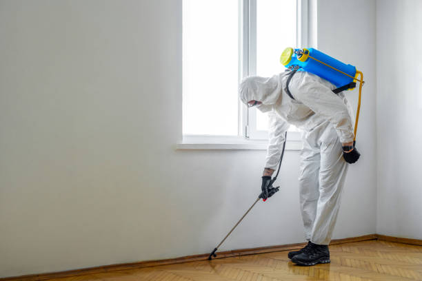 Best Pest Removal Services  in Johnson Lane, NV