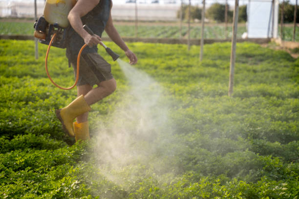 Best Mosquito Control Services  in Johnson Lane, NV