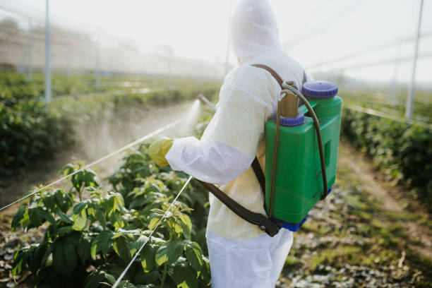 Best Best Pest Control Companies  in Johnson Lane, NV